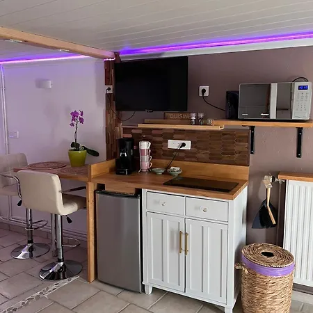 Apartamento Au Fil De L' Eau Aurec-Sur-Loire Exterior foto