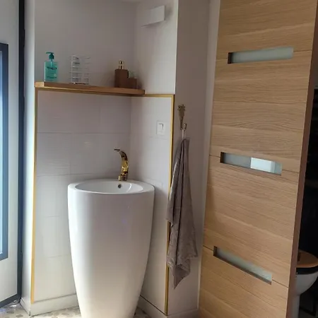 Apartamento Au Fil De L' Eau Aurec-Sur-Loire Exterior foto